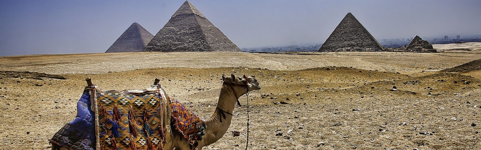 Die Top 5 Kultur-Ausflüge & Touren von Port Ghalib aus 2025