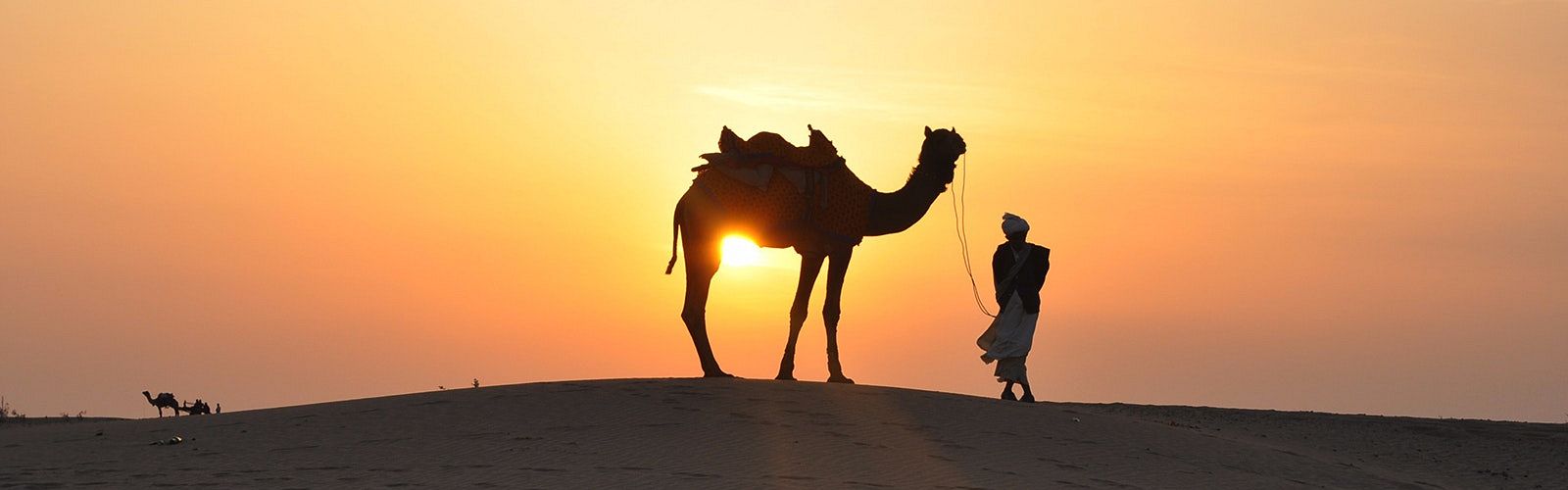 Die Top 5 Wüstentouren & Wüstensafari in Port Ghalib 2025